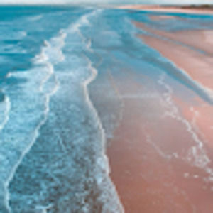 Meet your Posher, Tiarra